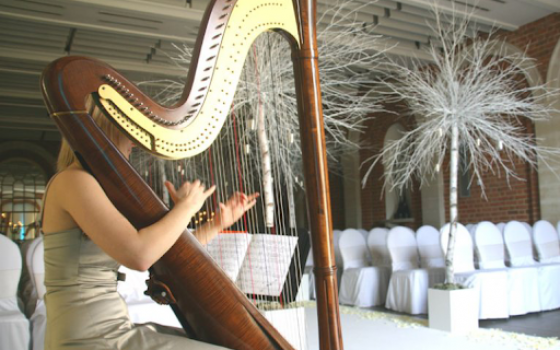 harpist harpist